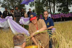 แปลงสาธิตการเกษตร โรงเรียนนายร้อยพระจุลจอมเกล้า จังหวัดนครนายก